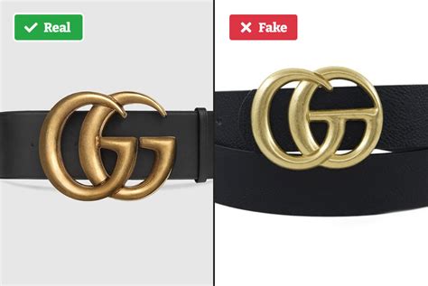 fake gucci belt silver buckle|gucci belt snake buckle women's.